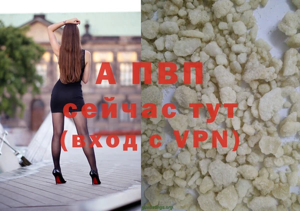 прущие крисы Медвежьегорск
